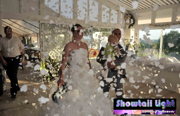 Arrivée des mariés dans salle de réception de mariage