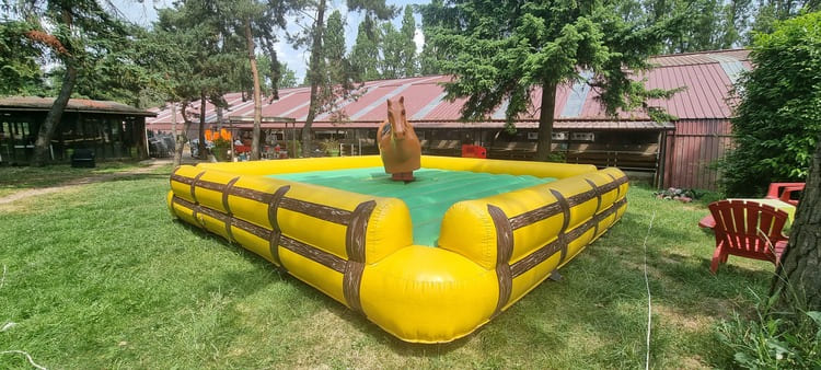 Cheval rodéo gonflable