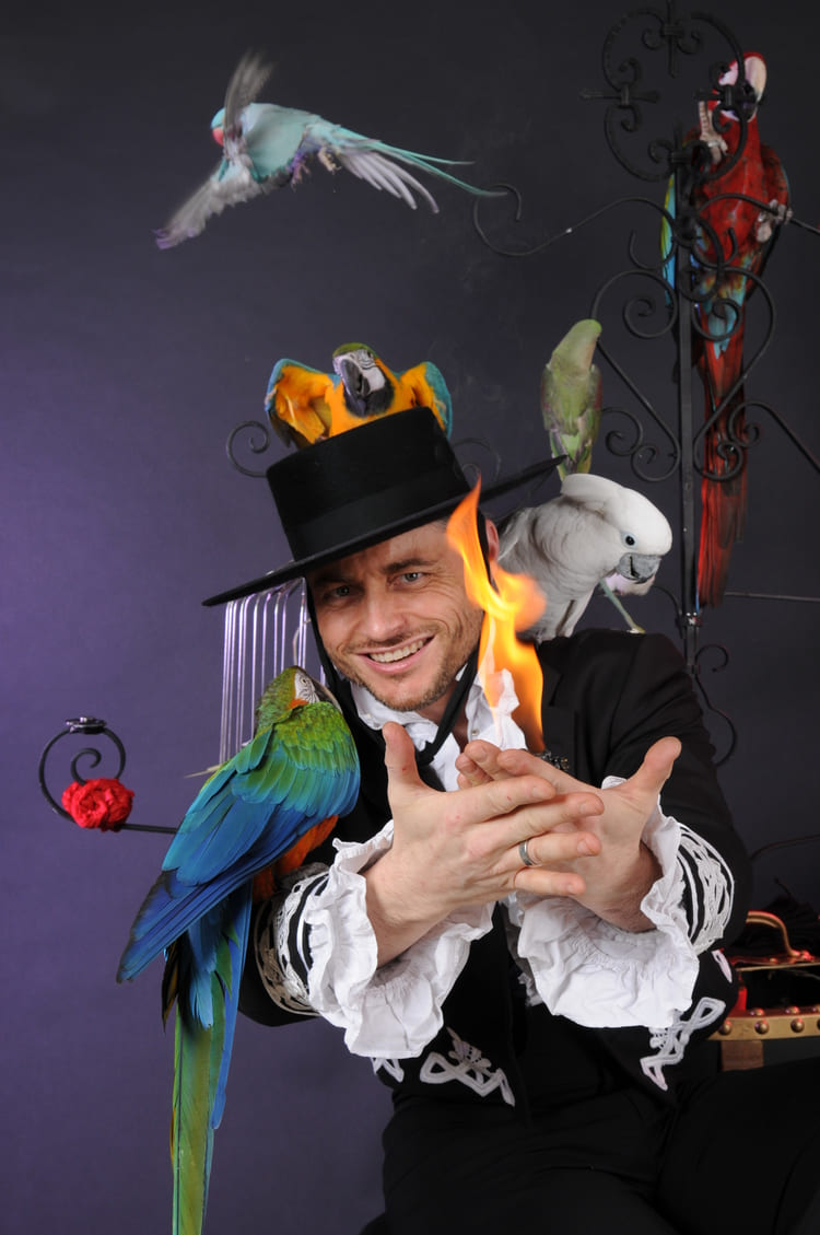 Magicien professionnel