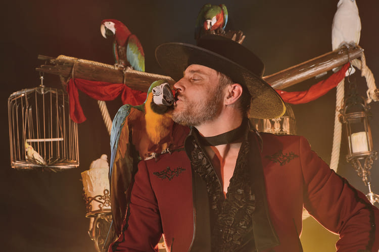 Magicien professionnel